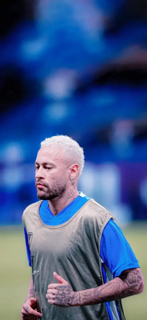 展现了出色 展现了出色